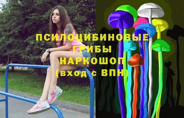 бутират Богородицк