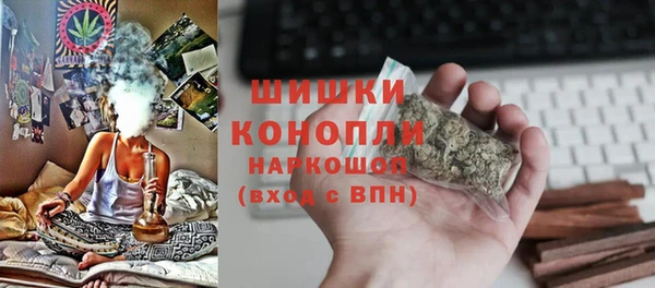 Альфа ПВП Бородино